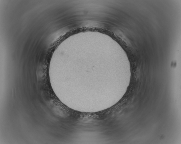 X0000090930824200707301553