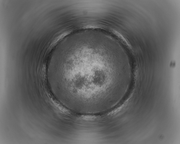 X0000090930825200707301553