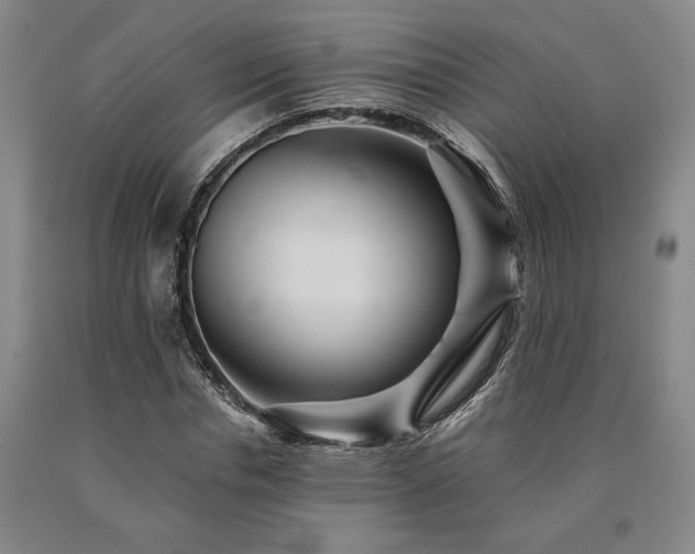 X0000090930826200707301553