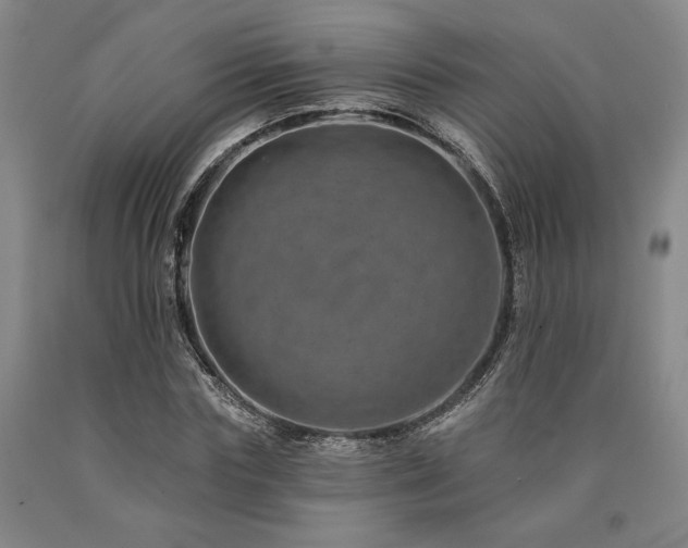 X0000090930827200707301553