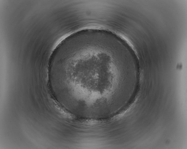 X0000090930829200707301553