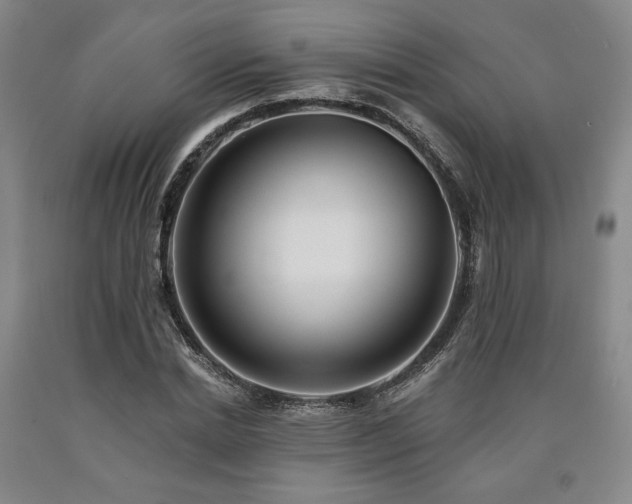 X0000090930830200707301553