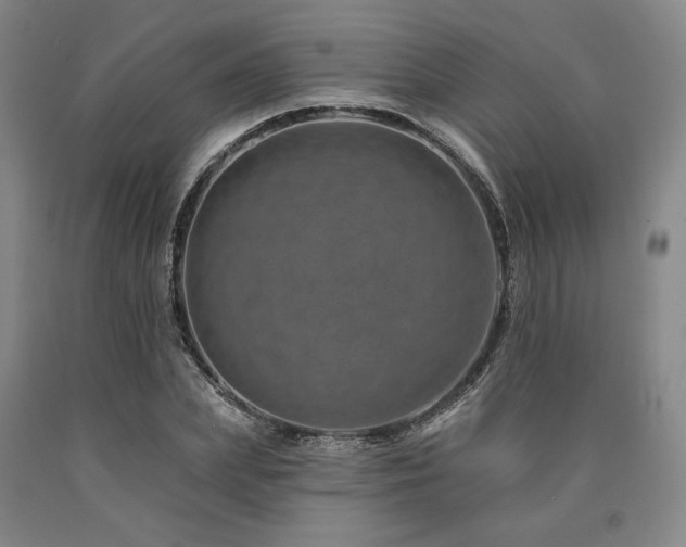 X0000090930831200707301553