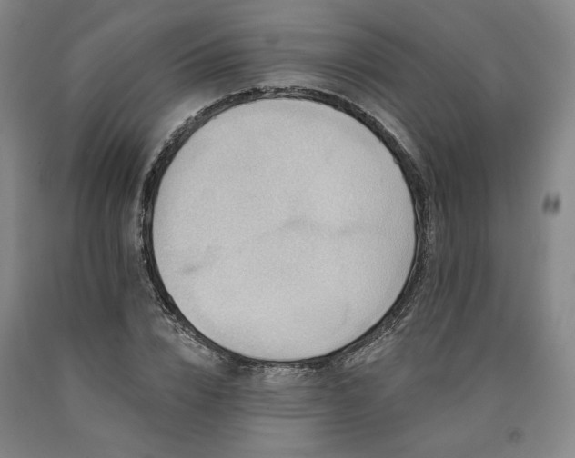 X0000090930832200707301553