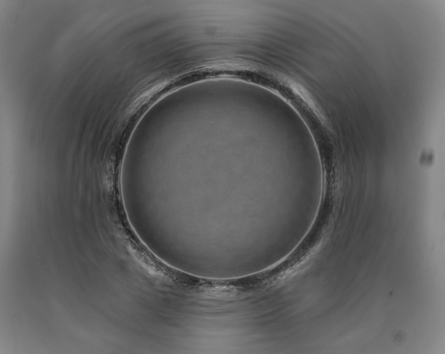 X0000090930833200707301553