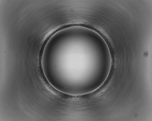 X0000090930834200707301553