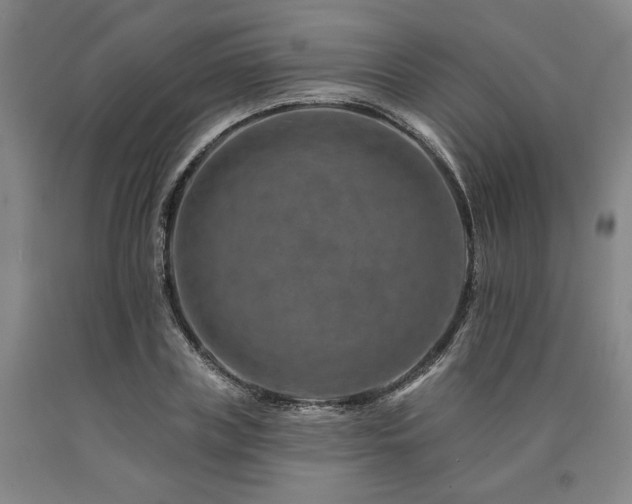 X0000090930835200707301553