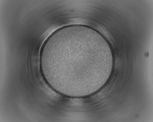X0000090930836200707301553