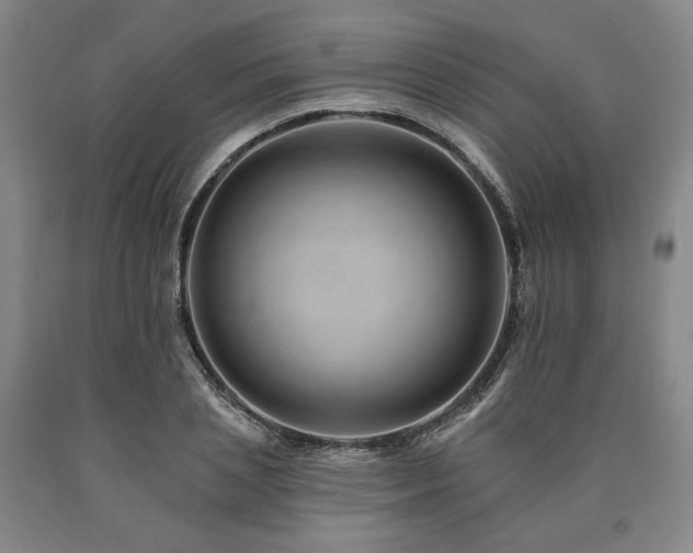 X0000090930837200707301553