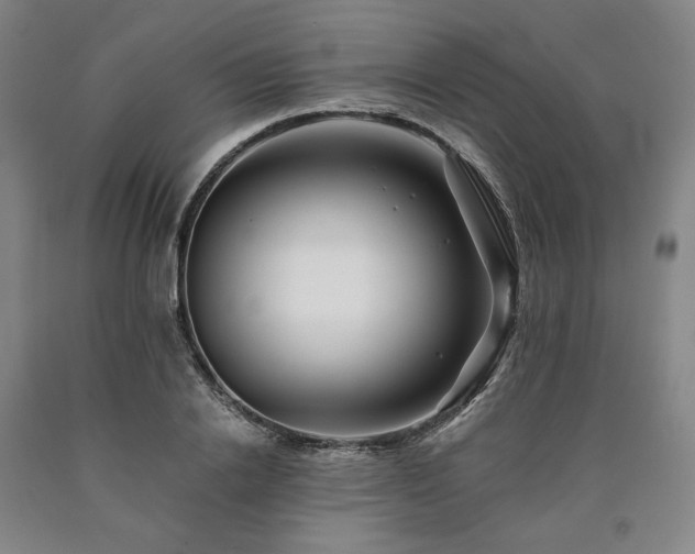 X0000090930838200707301553