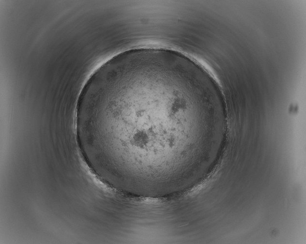 X0000090930839200707301553