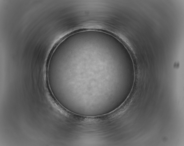 X0000090930840200707301553