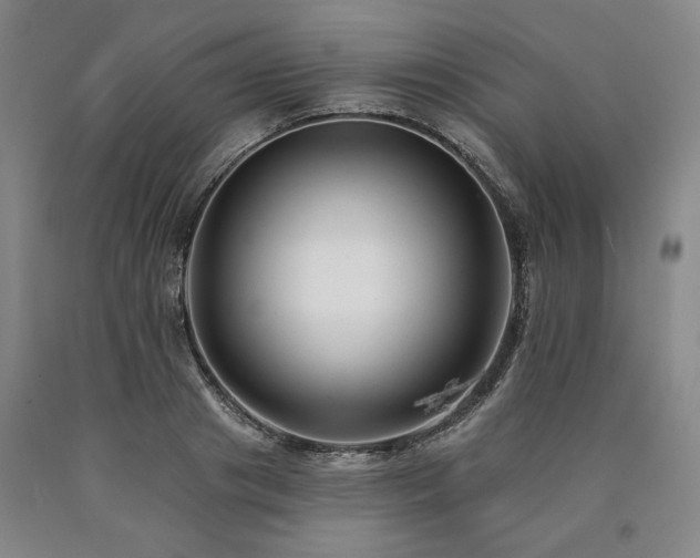 X0000090930841200707301553