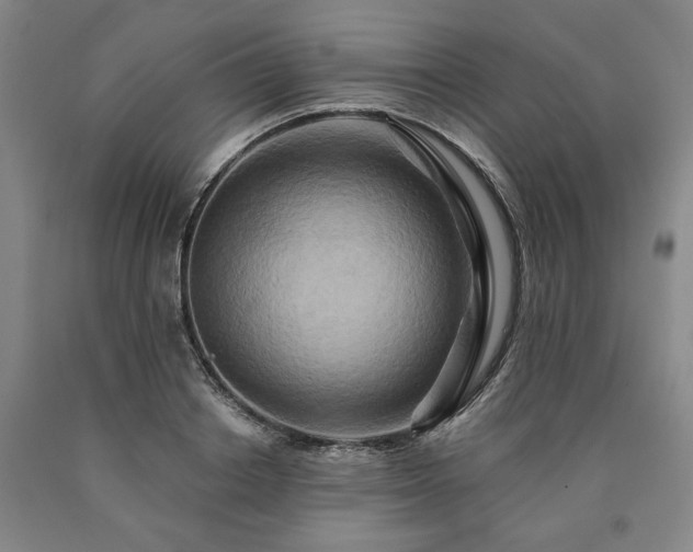 X0000090930842200707301553