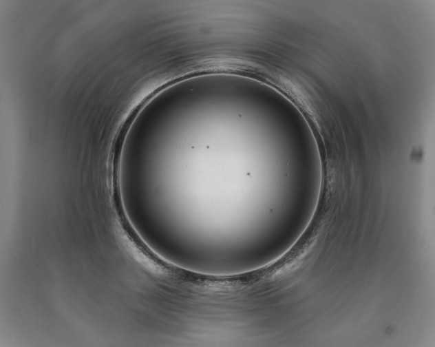 X0000090930843200707301553