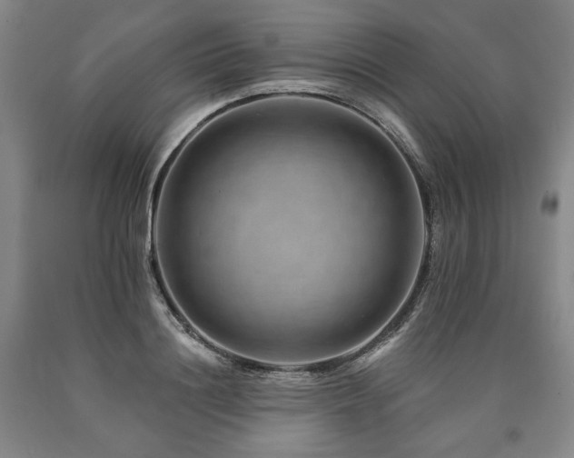 X0000090930844200707301553