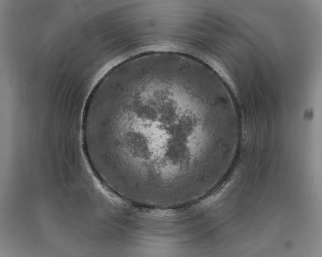 X0000090930845200707301553