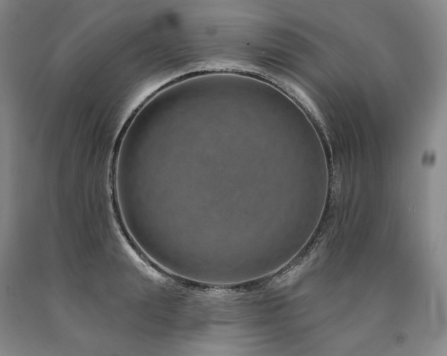 X0000090930847200707301553