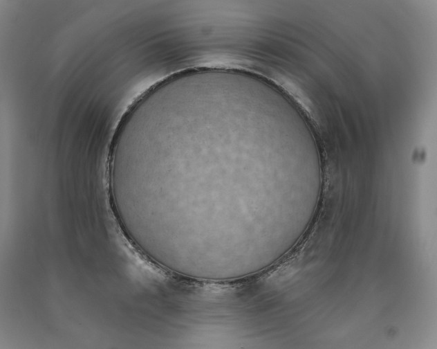 X0000090930848200707301553