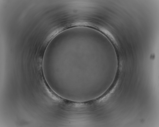 X0000090930849200707301553