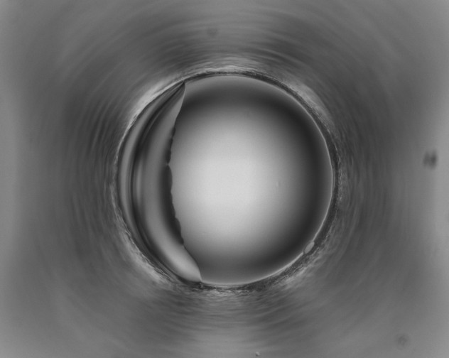 X0000090930850200707301554