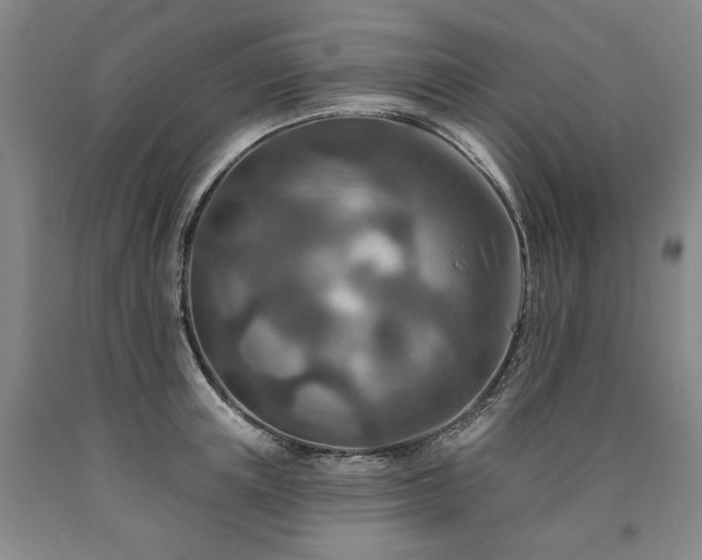 X0000090930851200707301554