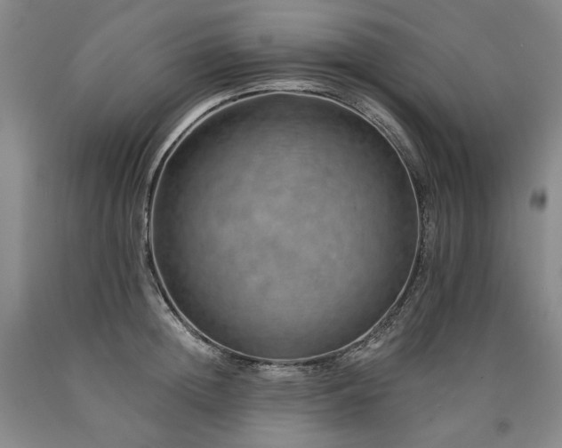 X0000090930852200707301554