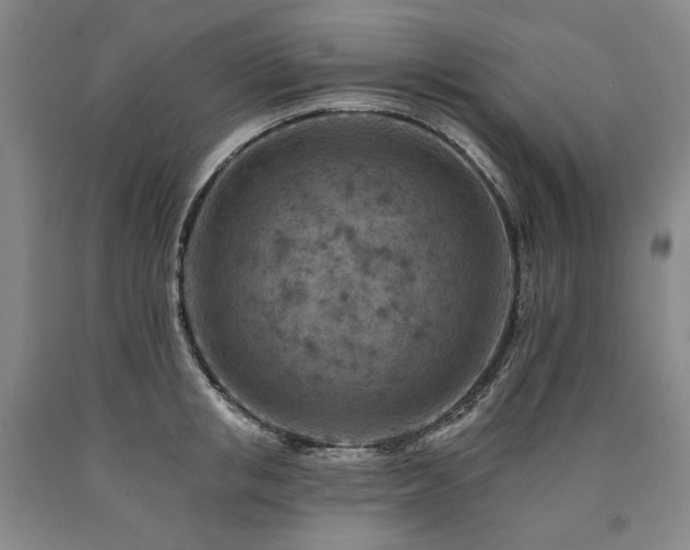 X0000090930853200707301554