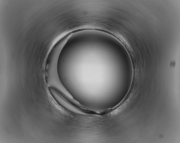 X0000090930854200707301554