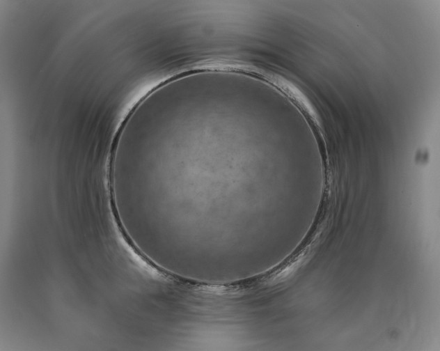 X0000090930855200707301554