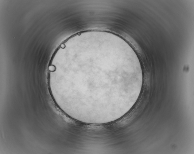 X0000090930856200707301554