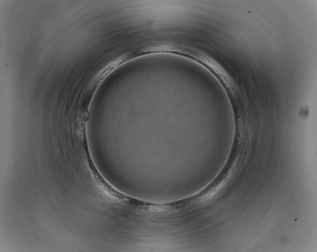 X0000090930857200707301554