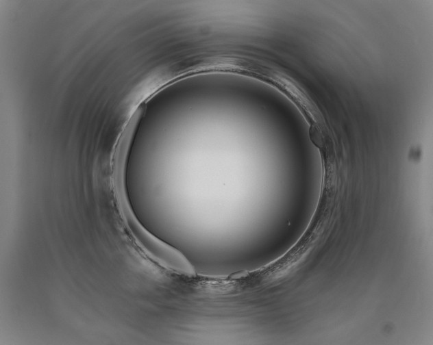 X0000090930858200707301554