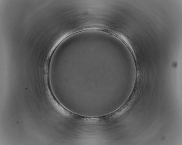 X0000090930859200707301554