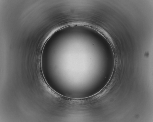 X0000090930860200707301554