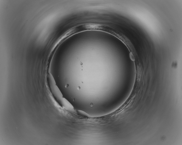 X0000090930861200707301554
