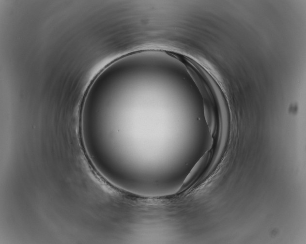 X0000090930862200707301554