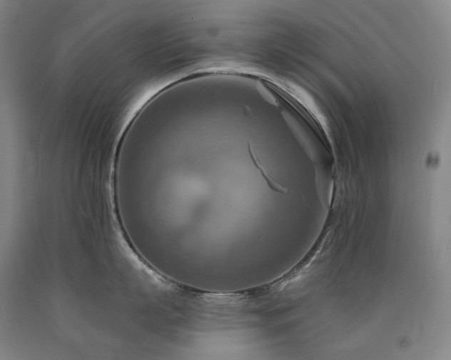 X0000090930863200707301554