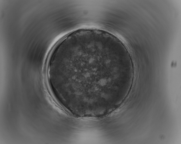 X0000090930864200707301554