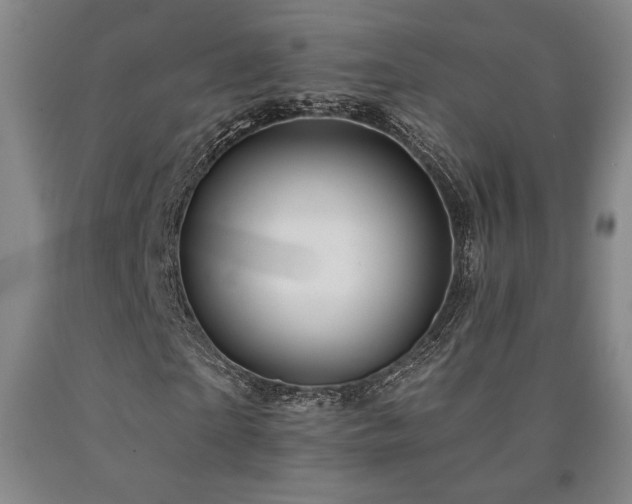X0000090930865200707301553