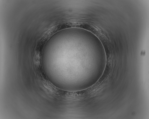 X0000090930866200707301553
