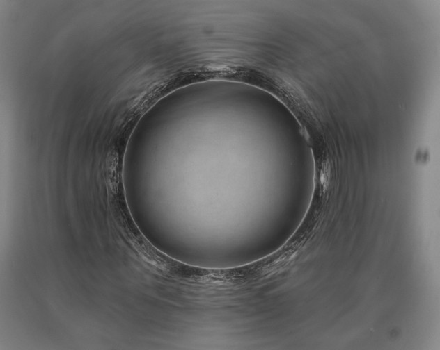 X0000090930867200707301553