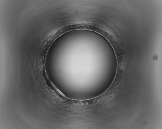 X0000090930869200707301553