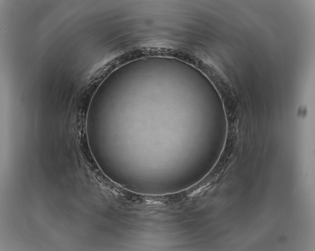 X0000090930870200707301553