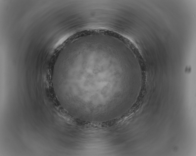 X0000090930871200707301553