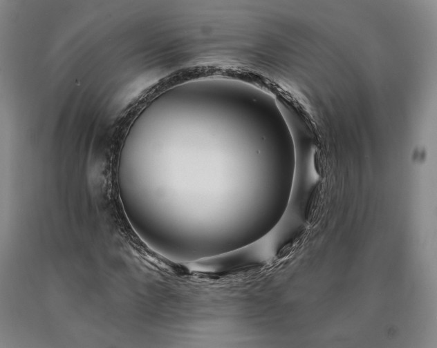 X0000090930872200707301553