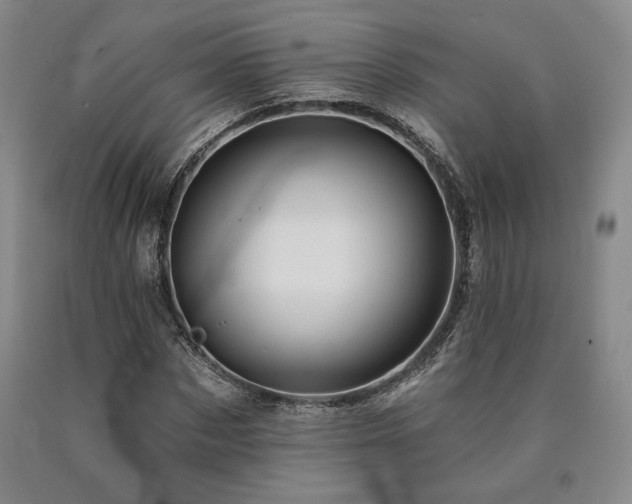 X0000090930873200707301553