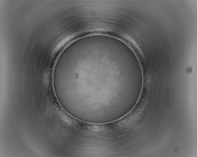 X0000090930874200707301553