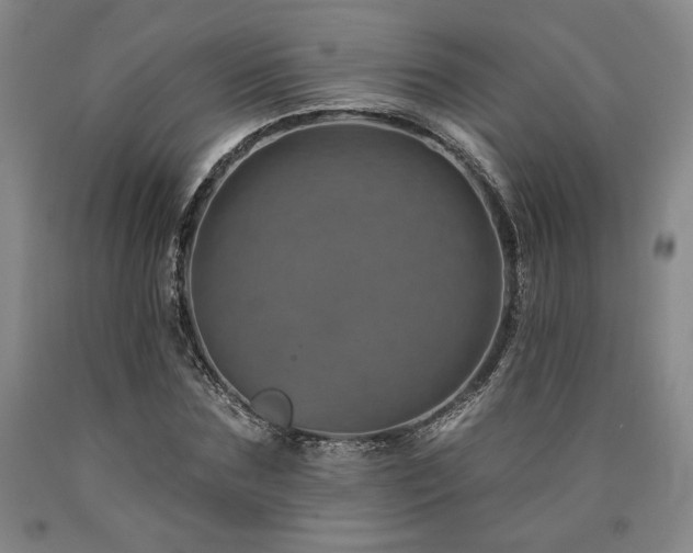X0000090930875200707301553