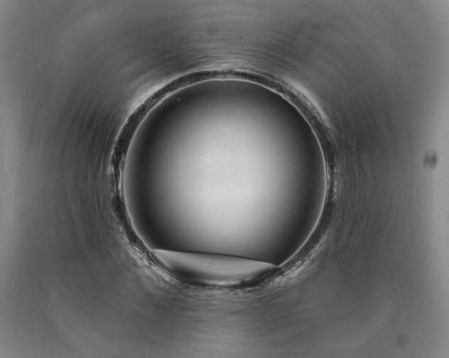 X0000090930876200707301553